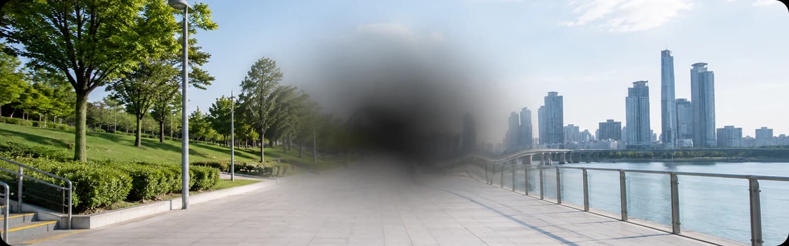 황반변성, 검사와 치료 시기를 놓치면 시력 저하가 진행될 수 있습니다